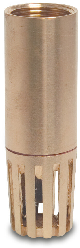 Profec Foot valve brass 3" female thread 6bar type 820